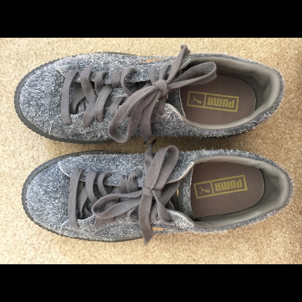 Grey puma creepers